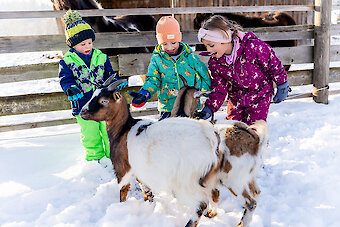 Urlaub für Kinder im Bayerischen Wald